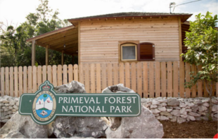 Primeval-Forest-National-Park